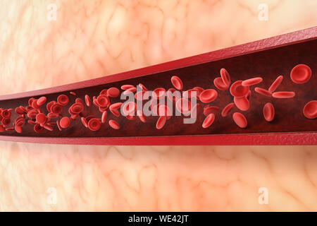 Red Blood Cells In A Capillary Human Central Nervous System