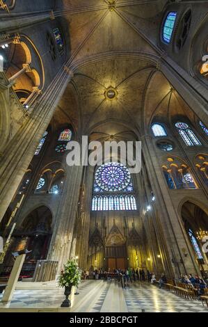 Innenraum Decke Struktur Kathedrale Von Notre Dame De Paris Ile De