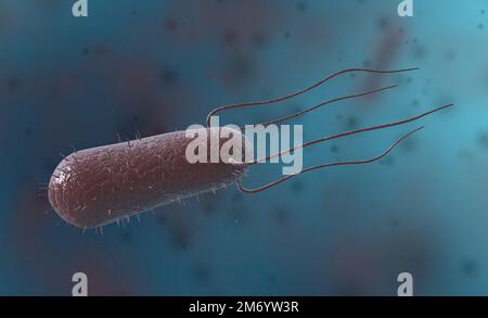 Bacillus Ist Ein Grampositives Und Sporenbildendes Bakterium In Form