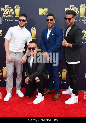 Vinny Guadagnino From Left Mike The Situation Sorrentino Ronnie