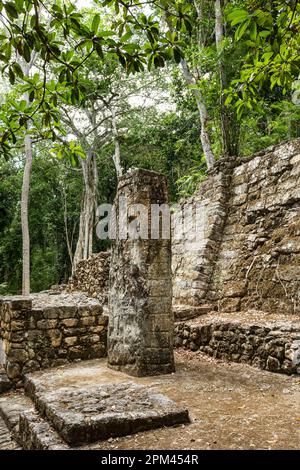 Mexiko Campeche State Calakmul Biosphärenreservat antike Maya Stadt