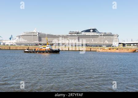 Der Au Ergew Hnliche Kreuzfahrtschiff Msc Splendida Im Hamburger Hafen