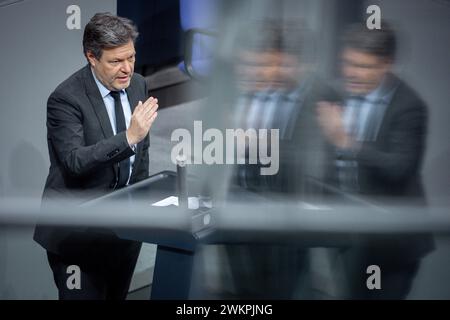 Deutscher Bundestag Plenarsitzung Robert Habeck Bundeswirtschafts