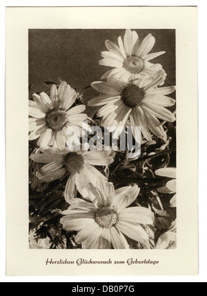 Einladung geburtstag lustig text zum geburtstag spruch freundin