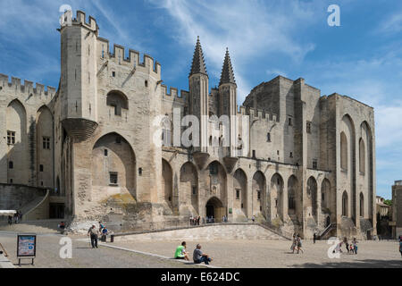 Palais Des Papes Und Place Du Palais Des Papes Avignon Provence Alpes