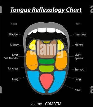 Zunge Diagnose Diagramm Mit Reflexzonenmassage Bereiche Der