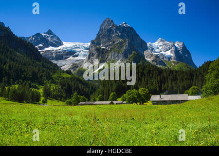 Wellhorns Rosenlaui Tal Schweiz Berner Oberland Alpen Stockfoto