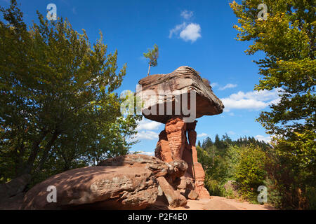 Teufelstisch Hinterweidenthal Pfalz Deutschland Stockfotografie Alamy