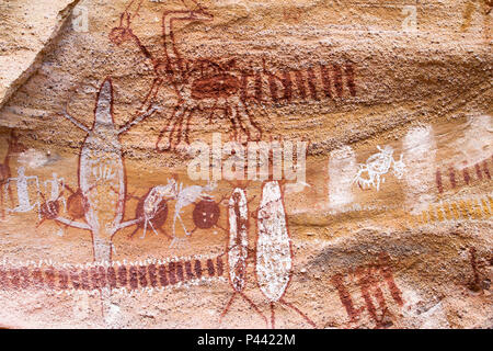 Pinturas Rupestres Simbolizando Animais E Pessoas Parque Nacional Da