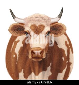 Ilustraci N Cara De Vaca Realista Fotograf A De Stock Alamy