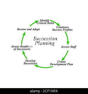 Componentes del proceso de planificación de sucesión Fotografía de