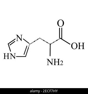 Amino Cido Histidina F Rmula Molecular Qu Mica Amino Cido Histidina