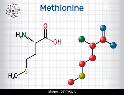 Metionina L Metionina Met M Mol Cula De Amino Cido Esencial