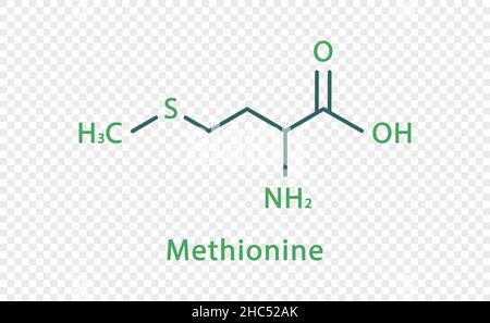 Metionina L Metionina Met M Mol Cula De Amino Cido Esencial