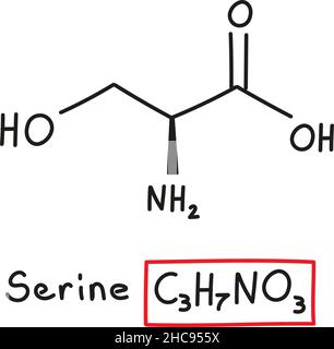 Estructura química serina Ilustración vectorial dibujada a mano Imagen