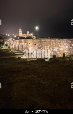 Puente Romano Y La Catedral De Salamanca Castilla Le N Espa A Puente