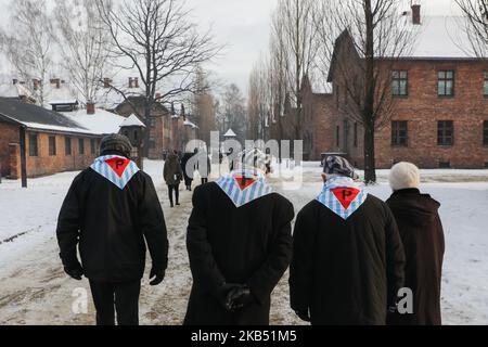 Los Suvivores Visitan El Museo De Auschwitz Durante El 74th Aniversario