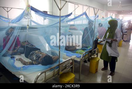 Los pacientes yacen bajo mosquiteros en el pabellón del dengue del