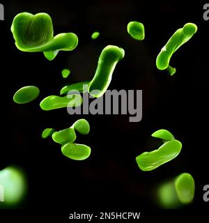 Bacterias Microsc Picas Ilustraci N De Legionella Pneumophila