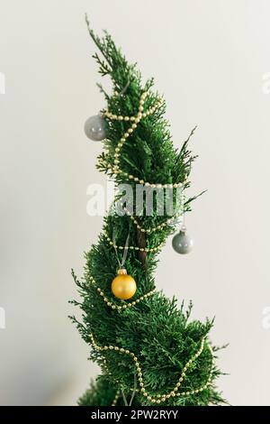 Ciprés o thuja en el pote está adornando bolas como árbol de Navidad