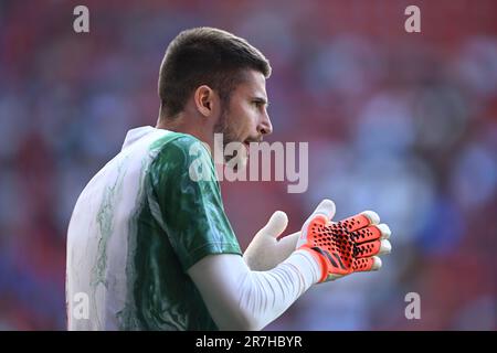 Guglielmo Vicario Italia Durante El Partido De La UEFA Nations League