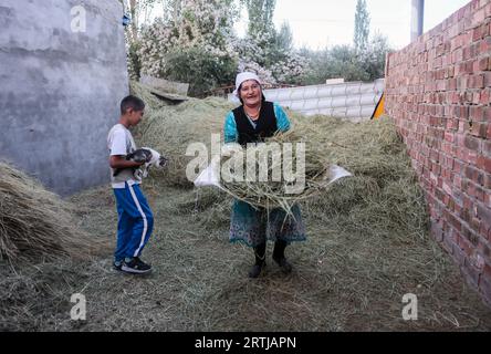 Taxkorgan De Septiembre De Xinhua Bayika