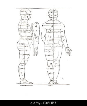 La ilustración anatómica desde Vier Bücher von menschlicher proporción