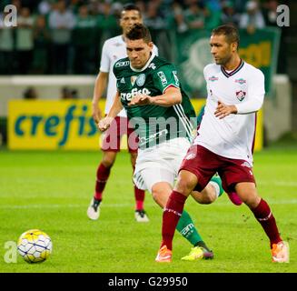 Sao Paulo Brasil Palm X Fluminense El Entrenador