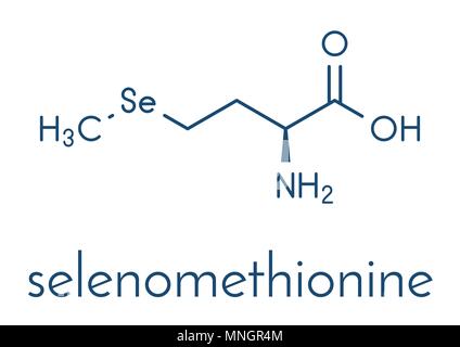 Molécula de aminoácido metionina estructura esquelética Imagen Vector