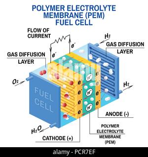 Diagrama de células de combustible Vector Dispositivo que convierte