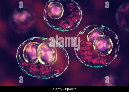 Infección por citomegalovirus Equipo de células humanas ilustración