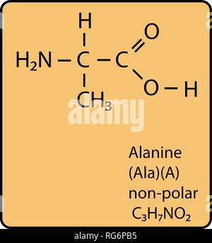 La alanina es un aminoácido Fórmula molecular química aminoácido de