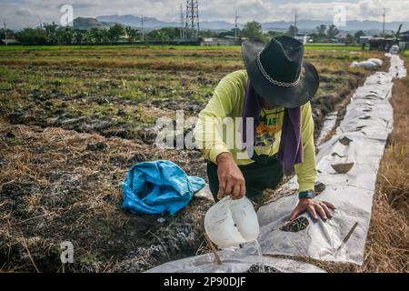 Teresa Rizal Philippines 10th Mars 2023 Un Agriculteur Philippin