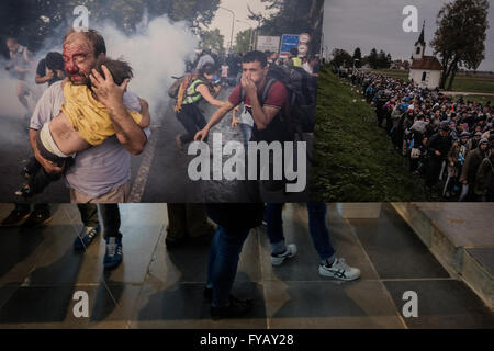 Les Visiteurs Voient Des Photos Gagnantes Prises Par Divers