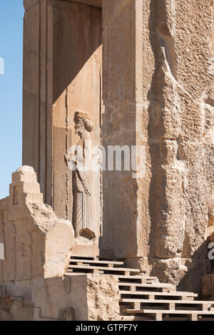 L Iran Persepolis Bas Relief Sculpture Du Lion Attaquant Un Cheval