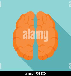 L Anatomie Du Cerveau Plate Du Lobe Frontal Lobe Temporal