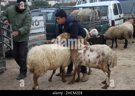 Nablus Cisgiordania Palestina Th Dec Nablus Cisgiordania