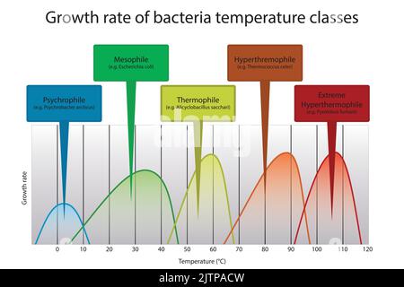 Diagramma Dell Intervallo Di Temperatura Ottimale Dei Microrganismi