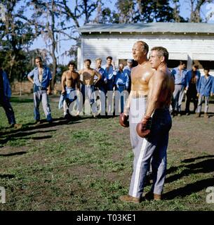 George Kennedy Paul Newman Film Cool Hand Luke Usa Personaggi