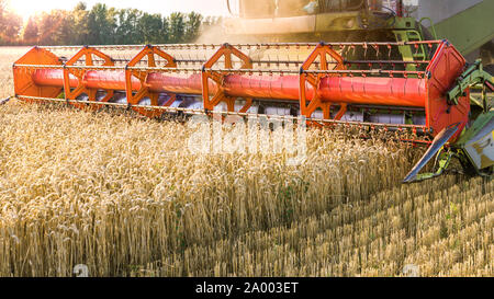 Against the backdrop of a sunny summer day and blue sky with clouds. Combine harvester harvesting ripe golden wheat on the field. The image of the Stock Photo