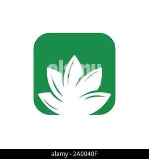 square lotus flower logo vector template design illustration Stock Vector