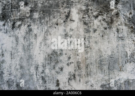 Grunge wall texture. White old wall with black sooty spots and fungi, urban texture Stock Photo