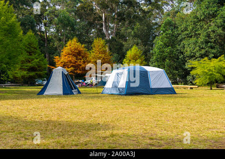Autumn landscape with tourist camping tents on the green lawn and colourful autumn trees on the background Stock Photo