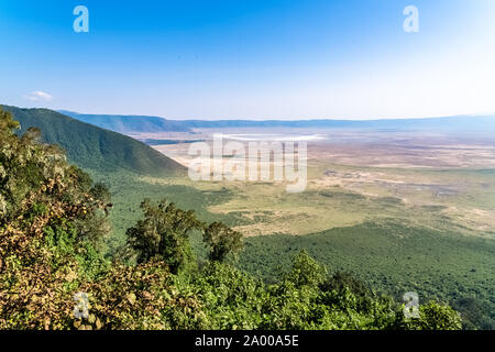 Tanzania, view of the Ngorongoro crater, beautiful landscape with different animals living together Stock Photo