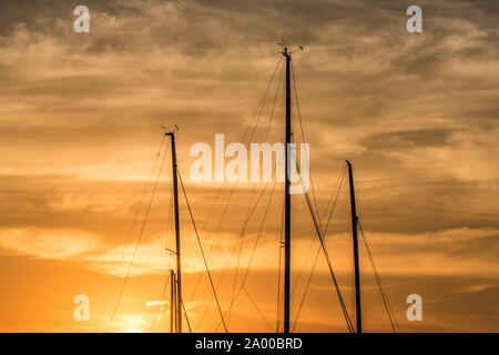 ship masts in yellow evening light Stock Photo - Alamy