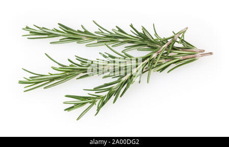 Fresh rosemary isolated on white background Stock Photo