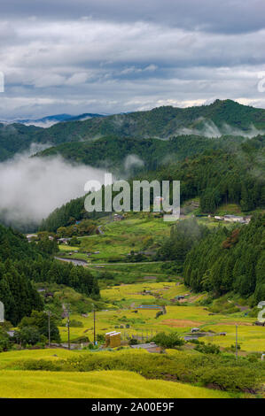 Yotsuya No Semmaida village and rice paddy with patches of fog among mountain slopes. Aerial vertical view. Rice field terraces in mountain forest. Sh Stock Photo