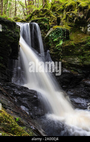 Cordorcan burn waterfalls in the Wood Of Cree Nature Reserve, Newton Stewart, Dumfries and Galloway, Scotland Stock Photo