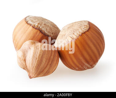 Hazelnuts isolated on white background with clipping path Stock Photo