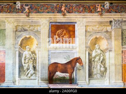 Representation of horses in the Sala dei Cavalli, Hall of horses ...